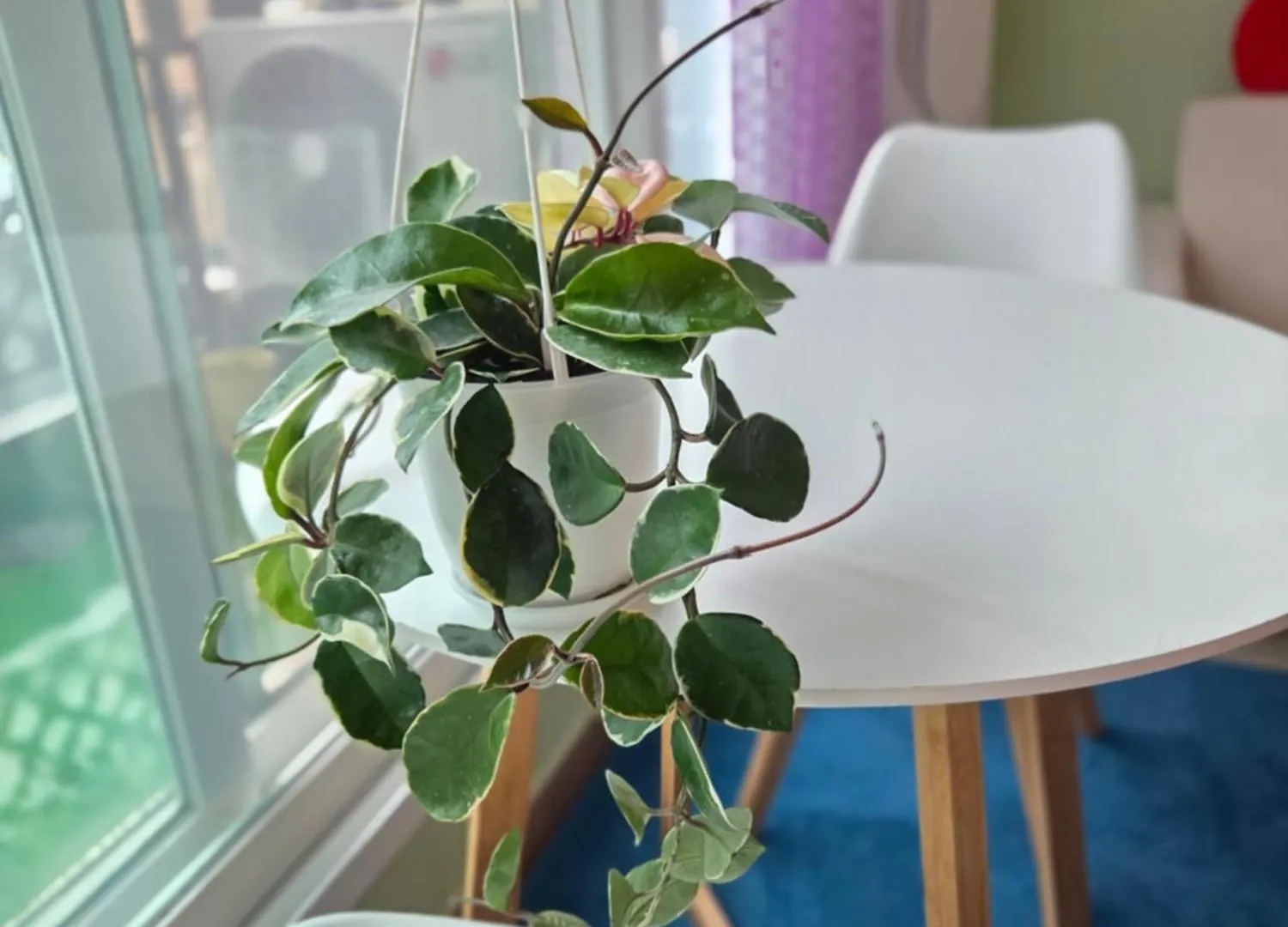 The Naeum Stay Incheon Airport Guesthouse Wisma tamu